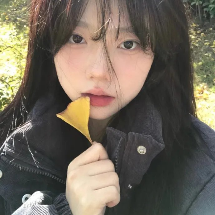 面纱 海报