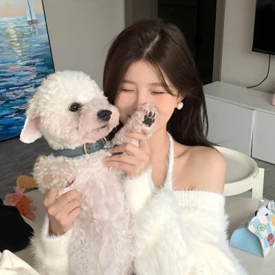 暴风雪中的白鸟 海报